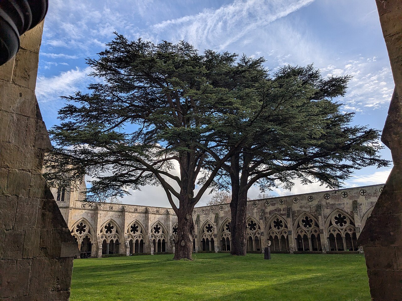 Two cedar trees on the lawn of the Salisbury Cathedral cloisters, framed by stone arches