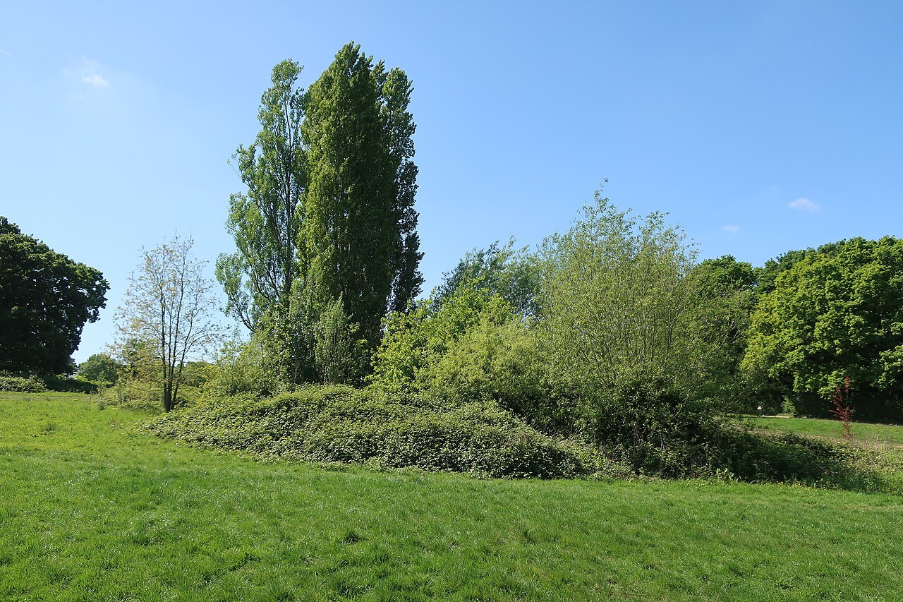 A wide grassy slope on Parliament Hill with poplars and bushes under a blue sky