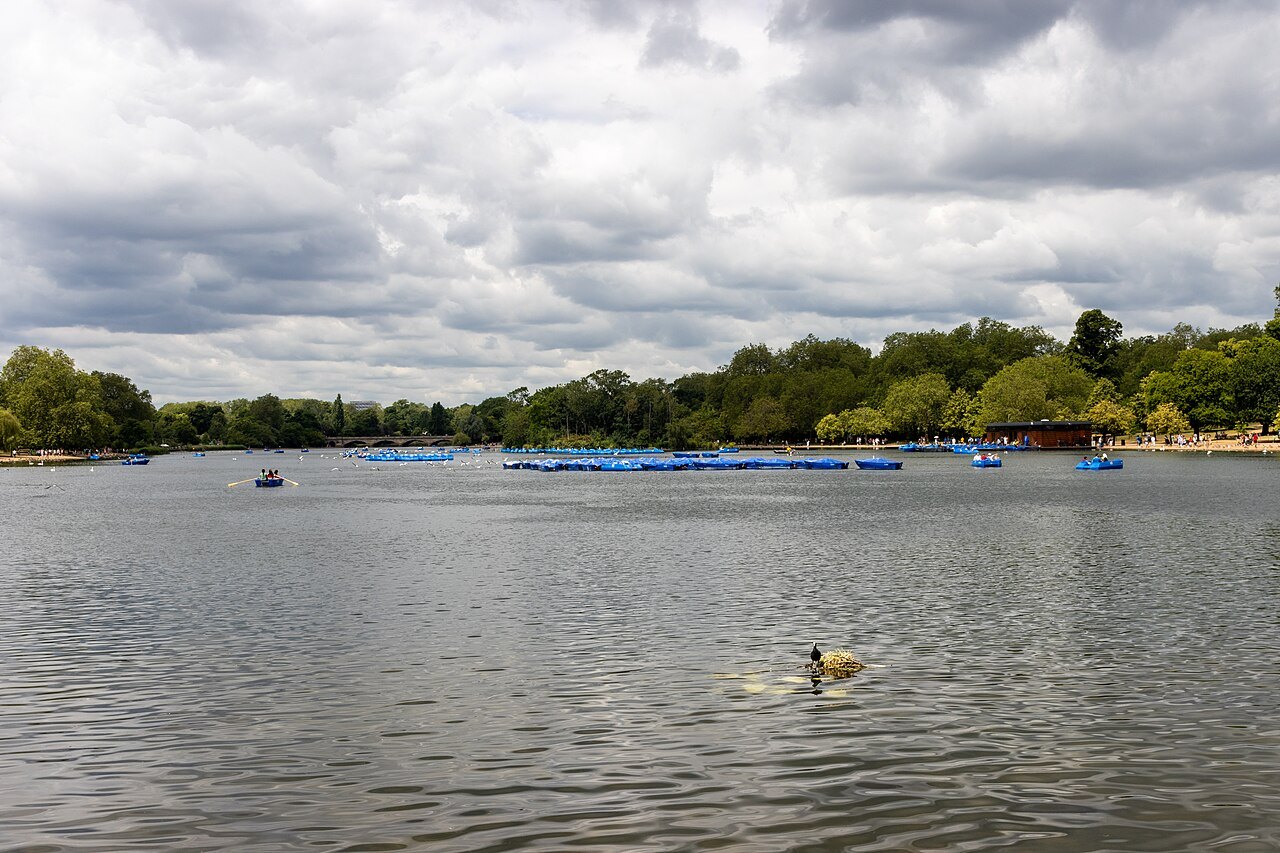 A lake on the Serpentine in Hyde Park with pedalos moored on the far side and a duck in the foreground