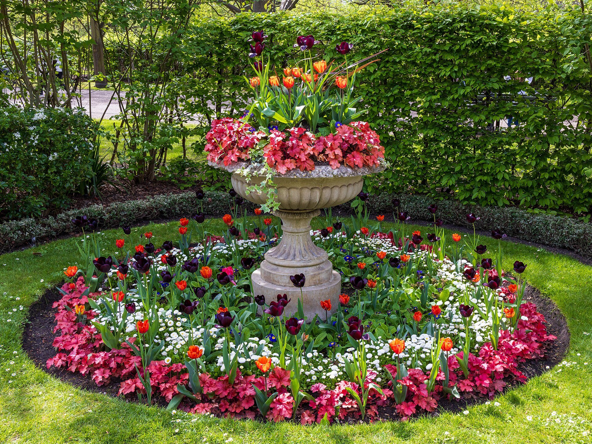 A round bed of tulips and bedding flowers around a stone urn in the Avenue Gardens, Regent's Park