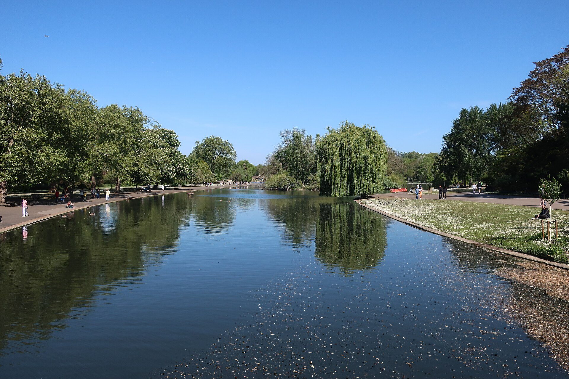 A calm stretch of water in Regent's Park, with willows and a path along the far bank