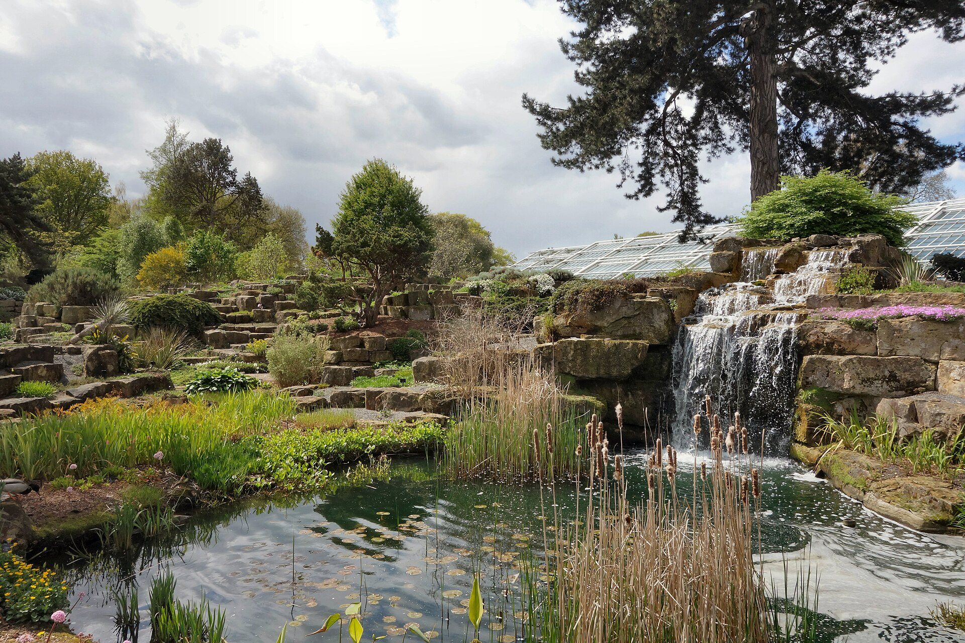 A waterfall and pool in the rock garden at Kew, with a glasshouse showing at the top right