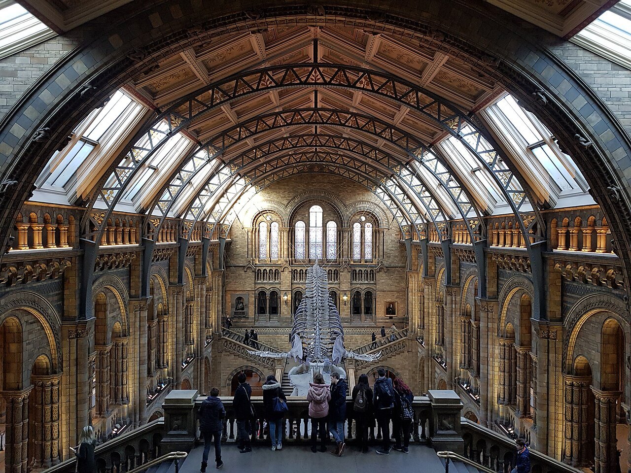Hintze Hall from the steps, with the blue whale skeleton hanging above the visitors