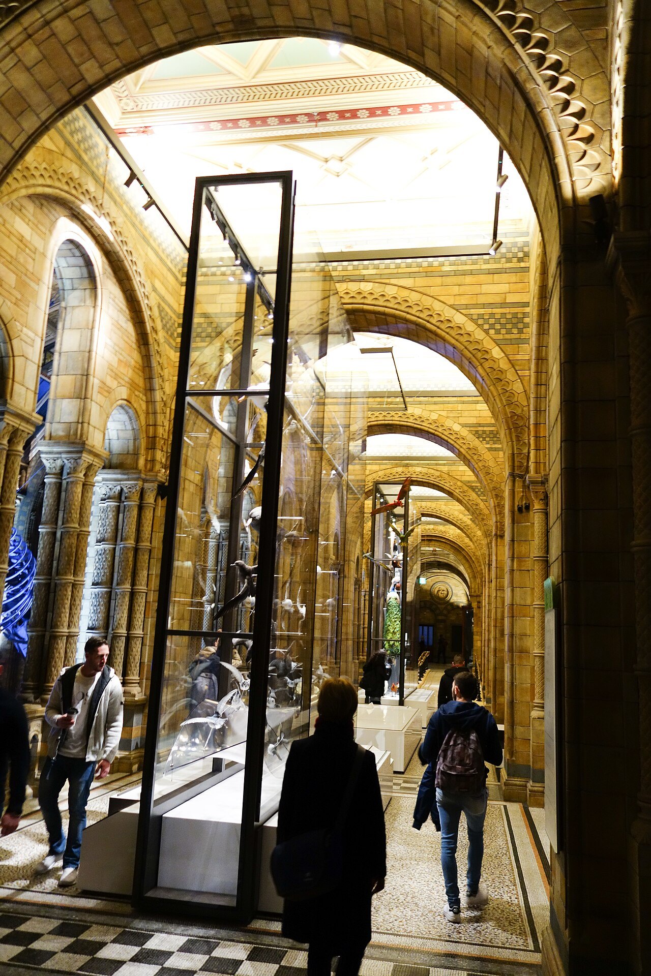 A gallery of arches in the Natural History Museum, with a glass case and a visitor walking through