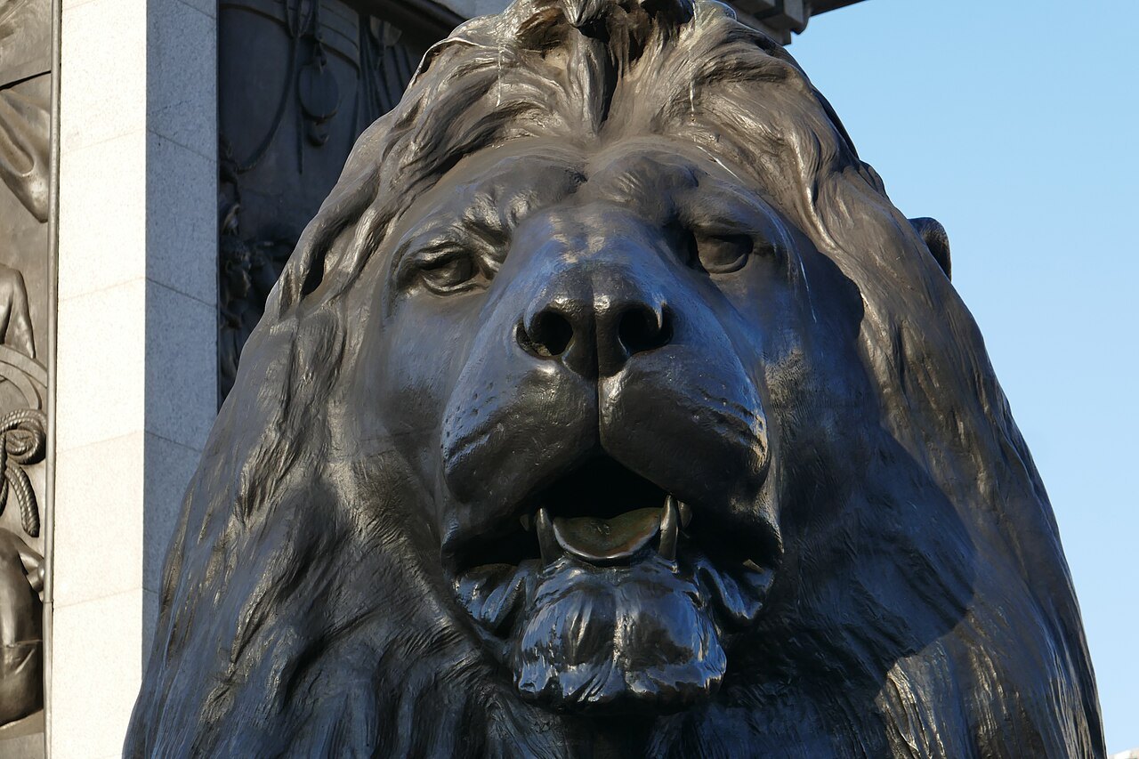 The head of a bronze lion at the base of Nelson's Column, seen from close below